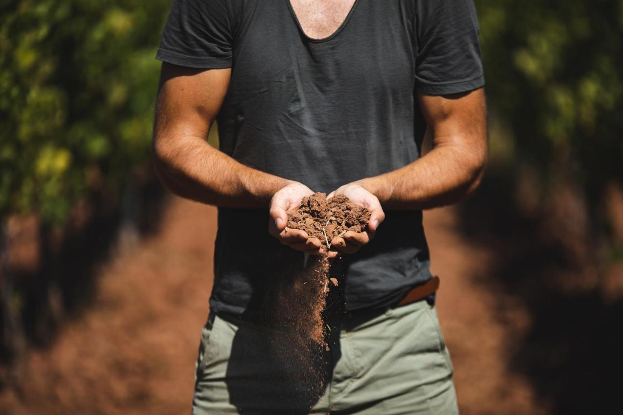 Chateau Saint Roux Le Luc-Le Cannet Des Maures Luaran gambar
