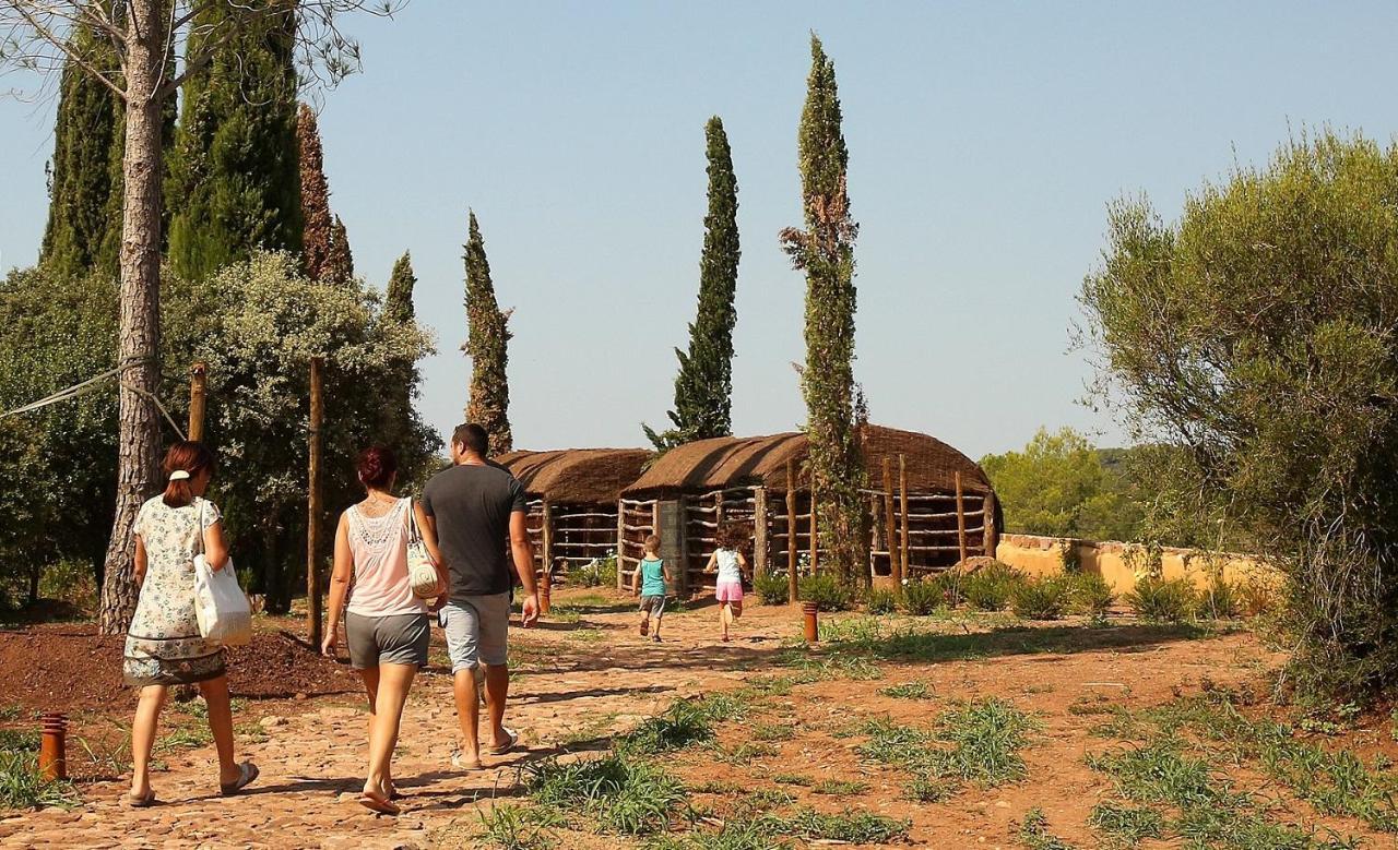 Chateau Saint Roux Le Luc-Le Cannet Des Maures Luaran gambar